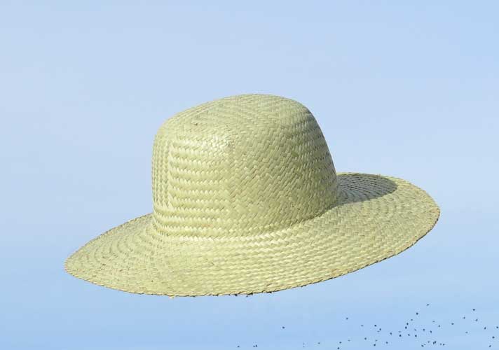 tradgards hatt jardin