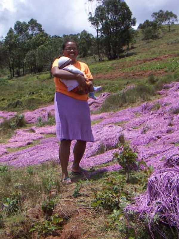 4. Madame Laure gets dyes when she delivers the finished fabrics to the capital. She dyes so much that it is enough raffia for weaving in many houses (farms) in the village. It is the women who weave.