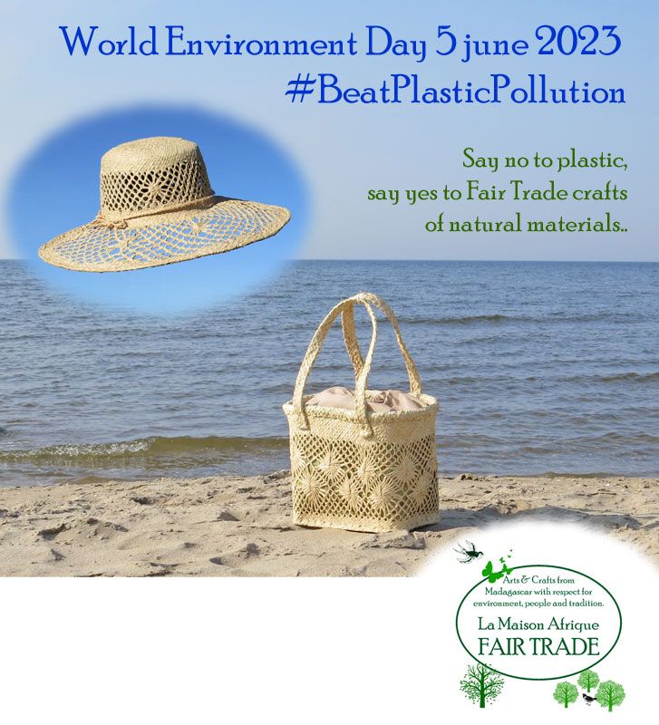 World Environment Day 5 June 2023 #BeatPlasticPollution