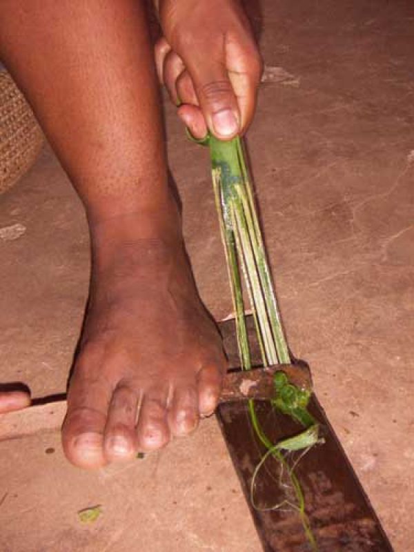 Step 3. With hand craft, Eva separates the fibres from the rest of the fleshy sisal leaves. 